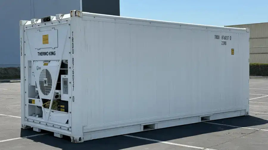 Contenedor marítimo refrigerado nuevo de 20 pies